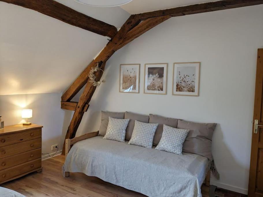 Maison Dans Belle Longere - La Serrerie Le Controis-en-Sologne Ngoại thất bức ảnh
