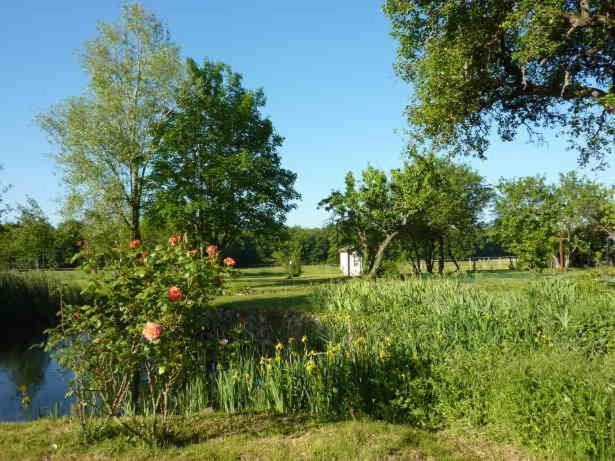 Maison Dans Belle Longere - La Serrerie Le Controis-en-Sologne Ngoại thất bức ảnh